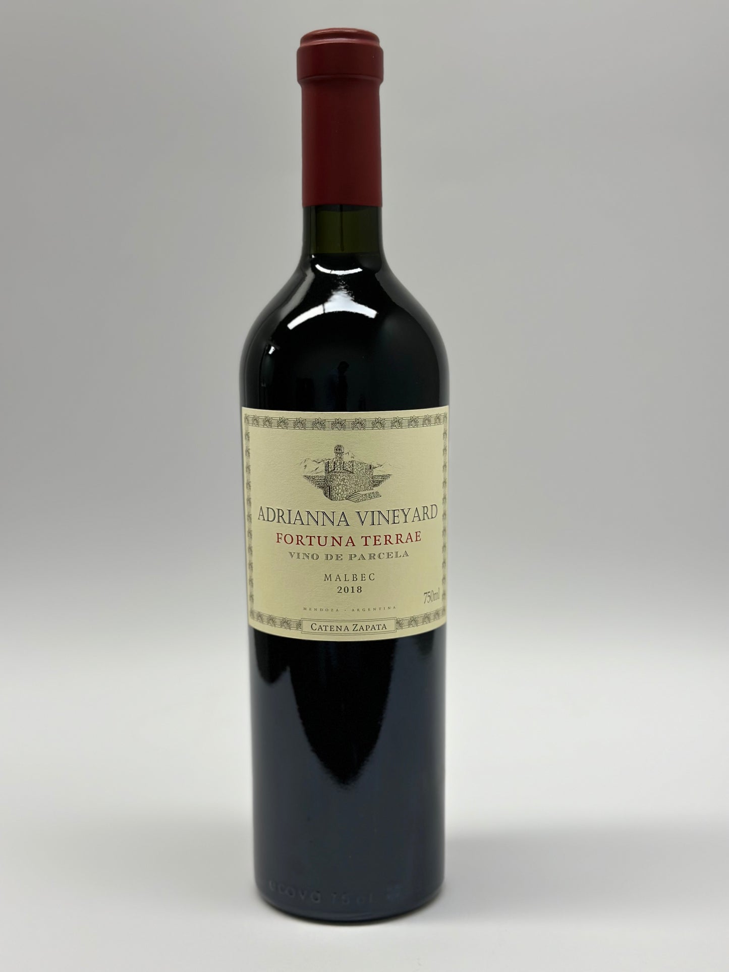 Adrianna Viñedo Malbec