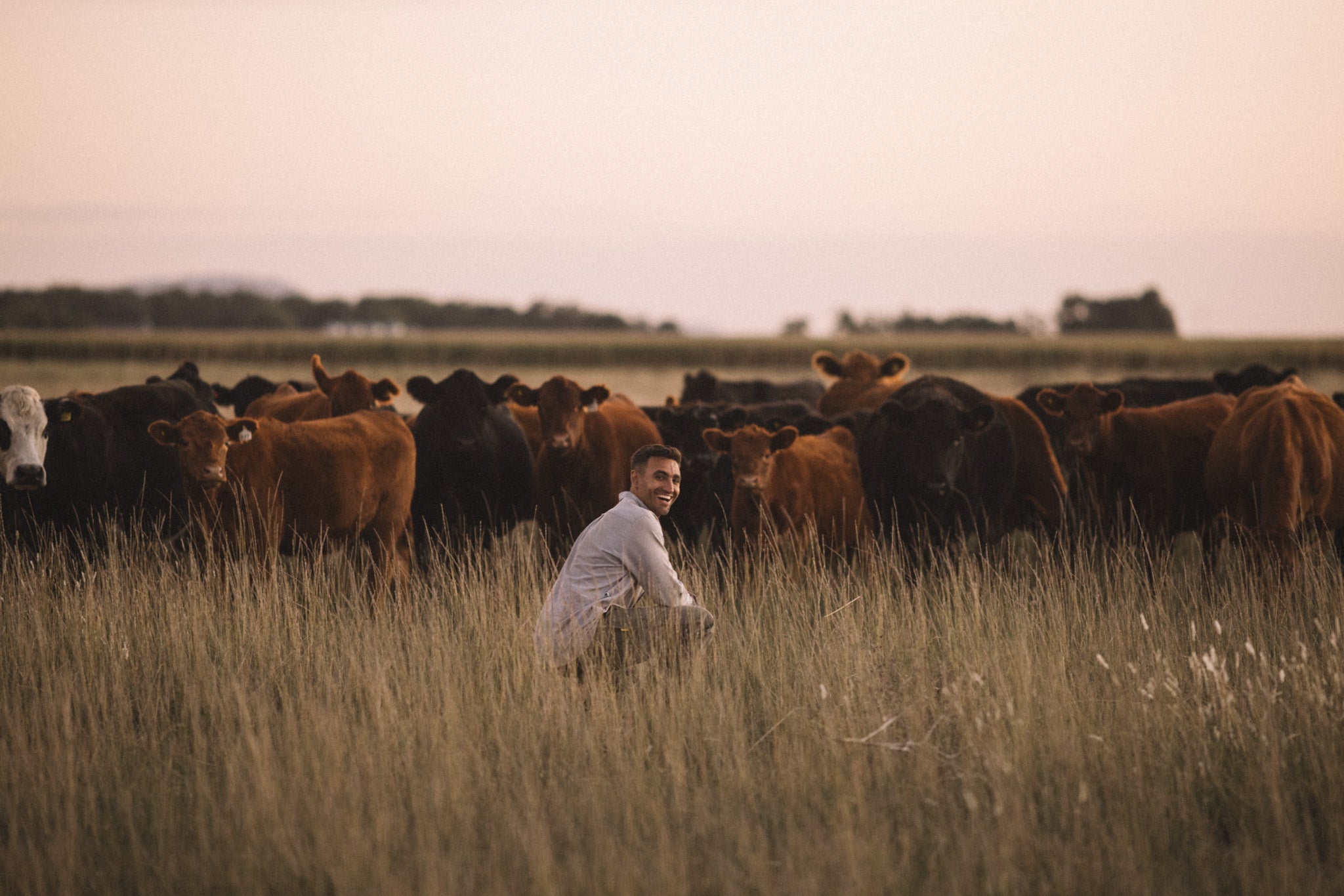 Carne Grass-Fed: Conosci ciò che stai mangiando?